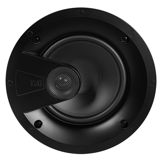 IC-V81-W